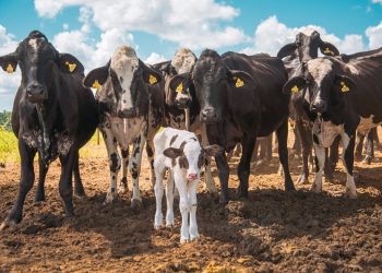 Nater Coop abre inscrições para sétimo desafio do Programa de Inovação Aberta