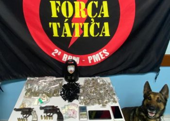 PM apreende armas de fogo e grande quantidade de drogas e São Gabriel da Palha