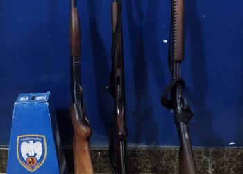 03 armas de fogo abandonadas em rodovia são recuperadas pela PMES