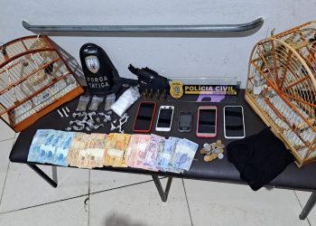 POLICIAIS CIVIS E MILITARES CUMPREM MANDADO DE BUSCA E APREENSÃO EM VINHÁTICO/MONTANHA-ES