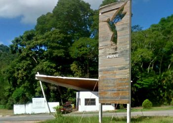 Santa Teresa vai ter ecoparque com mirante de aves, QR Code em árvores e área de piquenique