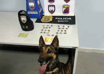 Tráfico de entorpecentes  – Apoio à CIA independente