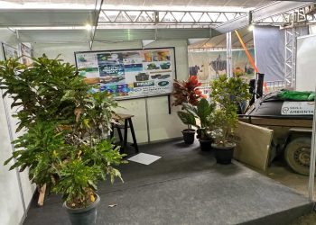 Diversão e oportunidades de negócios caminhando juntos: Feira de agronegócios está confirmada na Exposama 479 anos
