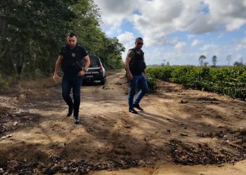 Polícia Civil realiza operação e prende dois homens investigados por crimes sexuais na região norte