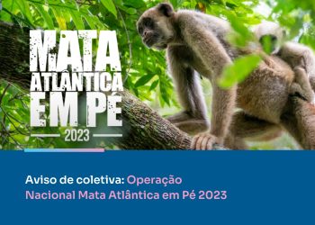 Aviso de coletiva: Operação Nacional Mata Atlântica em Pé 2023