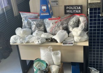 Sugestão de pauta – PM apreende mais de 6 mil buchas de maconha em Vila Velha