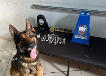 CUMPRIMENTO DE MANDADO DE BUSCA E APREENSÃO