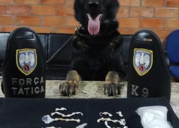 Policiais Militares do 11º BPM apreendem 81 pedras de crack e 30gr de maconha durante operação no bairro Estrela, município de Barra de São Francisco/ES.