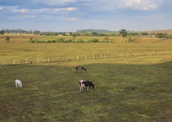 Polo de Irrigação do ES já tem os cinco projetos prioritários escolhidos por Grupo Gestor