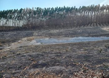 Prefeito Arnóbio Pinheiro e empresário experiente em barramento acompanham trabalho em sobrado