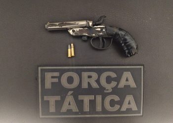 Crimes contra a pessoa: homicídio: por arma de fogo