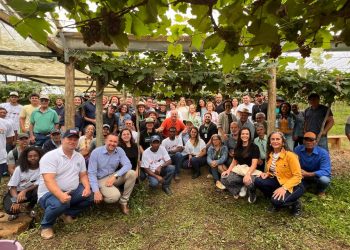 Arranjos Produtivos: Vargem Alta é palco do primeiro dia de campo