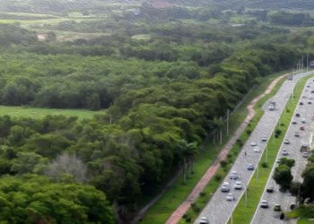Gandini pede urgência em projeto que municipaliza a rodovia Norte-Sul