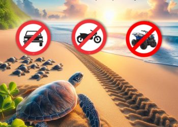 TRÁFEGO DE VEÍCULOS NA AREIA DA PRAIA É CRIME