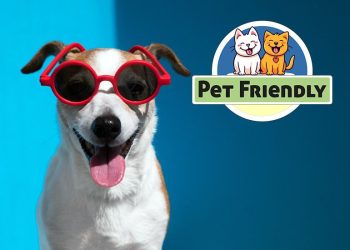 Prefeitura de Colatina é a primeira Pet Friendly do estado