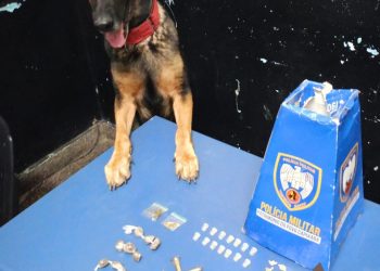 DROGAS SÃO APREENDIDAS PELA POLÍCIA MILITAR EM ARACRUZ