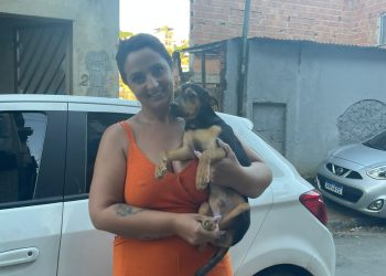 CPI APURA CASO DE CACHORRO ESPANCADO NA FRENTE DE CRIANÇA