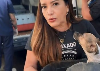 ATUALIZAÇÃO DO CASO DO CACHORRO FLAGRADO PULANDO EM CARRO NO CENTRO DE VITÓRIA
