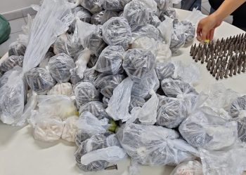 Coordenadoria de Operações Especiais apreende mais de 10 mil pinos de cocaína em Cariacica
