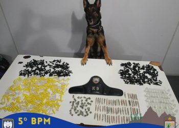 MAIS DE 800 UNIDADES DE ENTORPECENTES SÃO APREENDIDAS PELA POLÍCIA MILITAR EM FUNDÃO