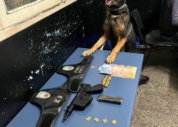 POLÍCIA MILITAR REALIZA PRISÃO DE INDIVÍDUO COM ARMA DE FOGO EM ARACRUZ