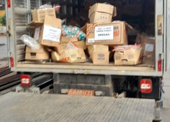 Denarc realiza incineração de 2,5 toneladas de drogas