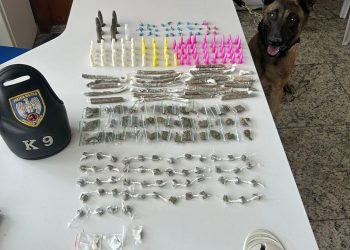 PMES encontra drogas na Serra com ajuda do cão Zorg
