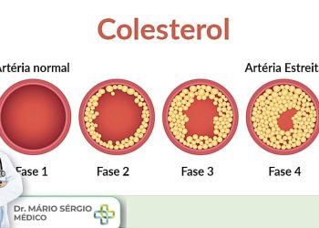 O próximo dia 8 é o dia de COMBATE AO COLESTEROL