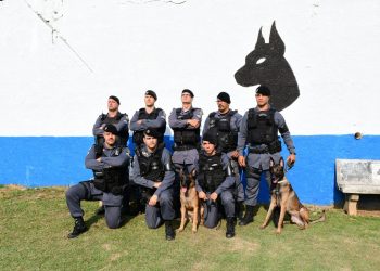 BAC entrega cães de faro ao 5º e 10º Batalhão