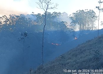 Polícia Militar Ambiental prende suspeito de provocar incêndio em Domingos Martins