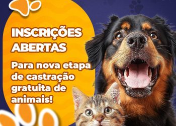 Programa de Bem Estar Animal abre mais uma etapa de castração gratuita de cães e gatos