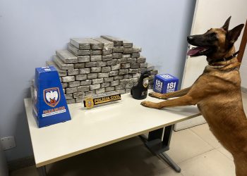 PMES encontra quase 90 quilos de maconha escondidos em um barril em Guaçuí PMES encontra quase 90 quilos de maconha escondidos em um barril em Guaçuí