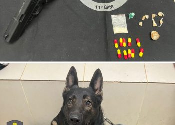 Força Tática e equipe K9 apreendem drogas e simulacro de arma em Barra de São Francisco