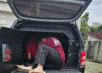 Polícia prende dois suspeitos de envolvimento na morte de jovem em João Neiva