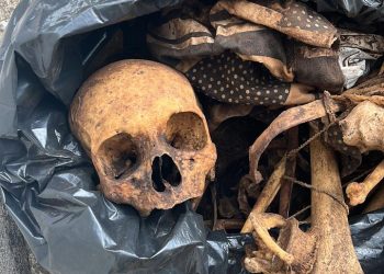 Ossadas humanas escondidas em sacos plásticos assustam servidores
