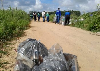 Mutirão contra a dengue recolhe uma tonelada de materiais em Pinheiros