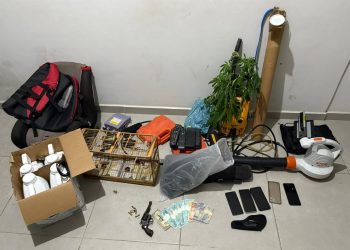 Ação conjunta resulta na prisão de quatro suspeitos de roubo de pimenta em Boa Esperança