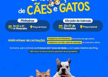 Prefeitura de Pinheiros promove campanha de castração gratuita para cães e gatos