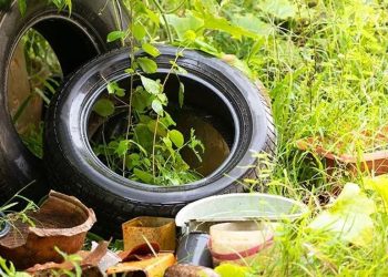 PREFEITURA PROMOVE MUTIRÃO CONTRA A DENGUE NA QUARTA-FEIRA (29)