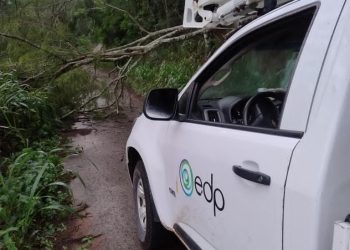 Temporais de Verão: EDP alerta para os principais cuidados com energia elétrica