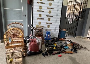 Polícia prende homem por posse de arma de fogo e receptação na zona rural de Nova Venécia
