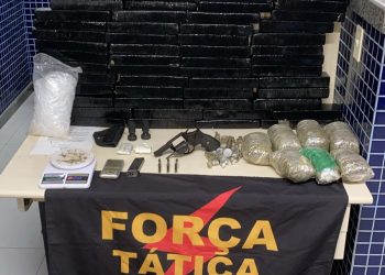 PM apreende cerca de 94 tabletes de maconha em casa desabitada em Vila Velha