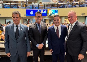 Gandini assume vice-liderança do governo na Assembleia Legislativa