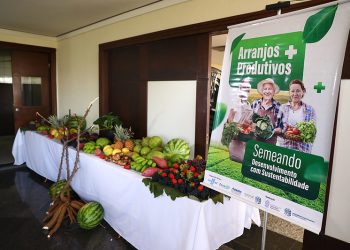 Arranjos Produtivos inicia nova fase e amplia apoio aos agricultores familiares