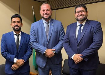 Agenda oficial do Presidente e vice-presidente da Câmara em Brasília gera saldo positivo para Linhares
