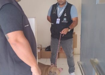 CPI dos Maus-tratos atende denúncia em Cobilândia, Vila Velha