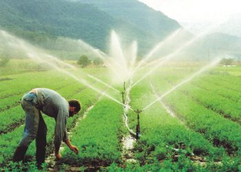 EDP convoca mais de 15 mil clientes usuários de irrigação para recadastramento