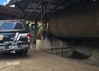 Secador de café e residências: Polícia Civil e EDP flagram furto de energia em Mantenópolis