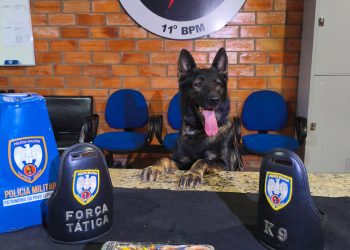 FORÇA TÁTICA DO 11º BPM E K9 ATHENA LOCALIZAM 3 KG DE CRACK ENTERRADOS EM BARRA DE SÃO FRANCISCO