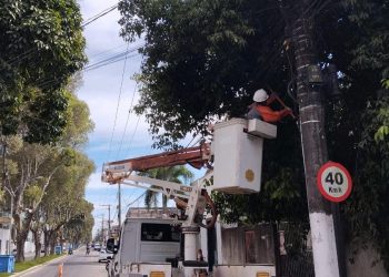 EDP realiza mutirão em Domingos Martins para melhorias na rede elétrica